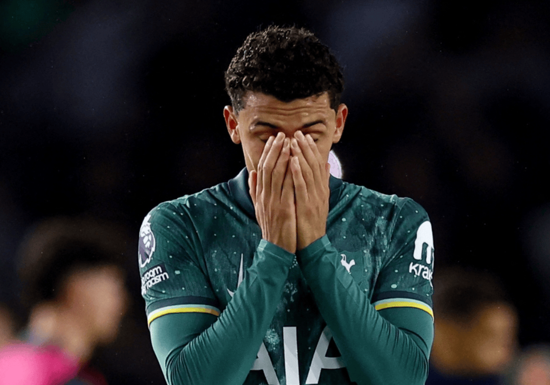 雷火电竞亚洲先驱-热刺逆转战胜布莱顿，继续保持不败战绩的简单介绍