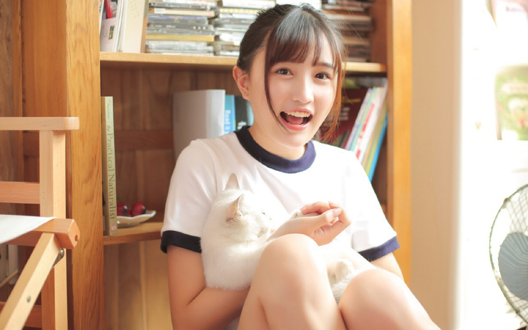 雷火电竞主播-欧洲足球的双重奏，奥地利的防守艺术与布鲁诺的争冠接管时刻