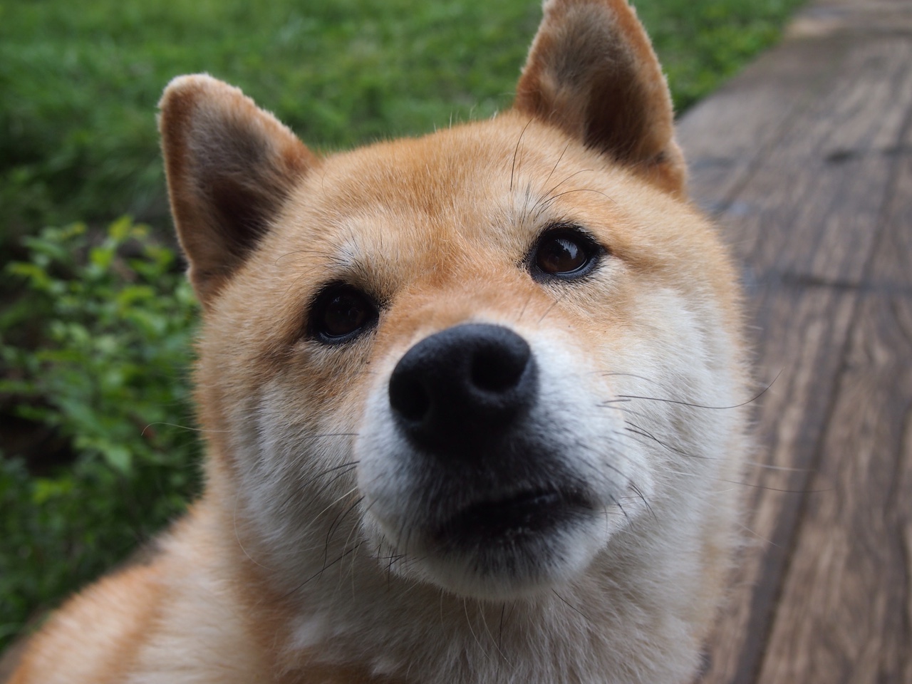 雷火电竞官网-本泽马关键进球定乾坤，埃及对阵拉齐奥友谊赛纪实