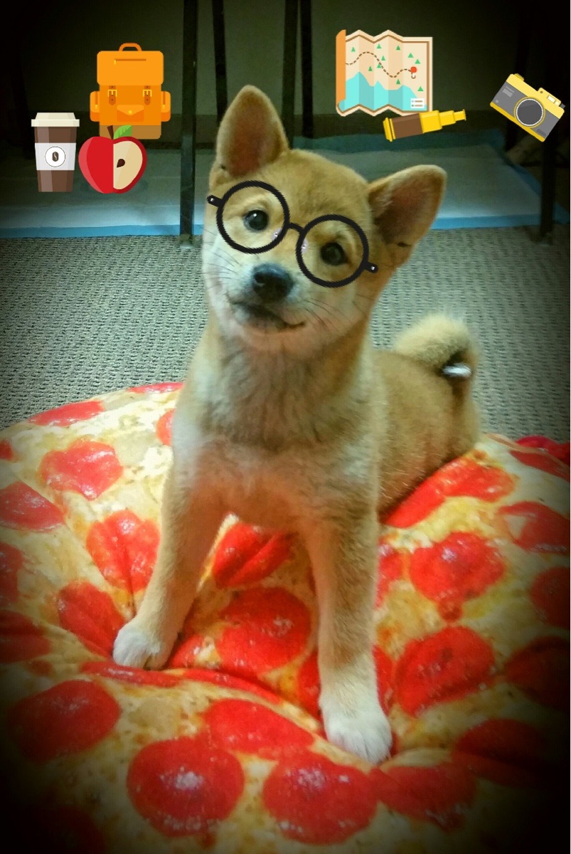 雷火电竞合作-体育联名跨界，当深圳节奏写入F1竞速方程式—布克在揭幕战演战术接管