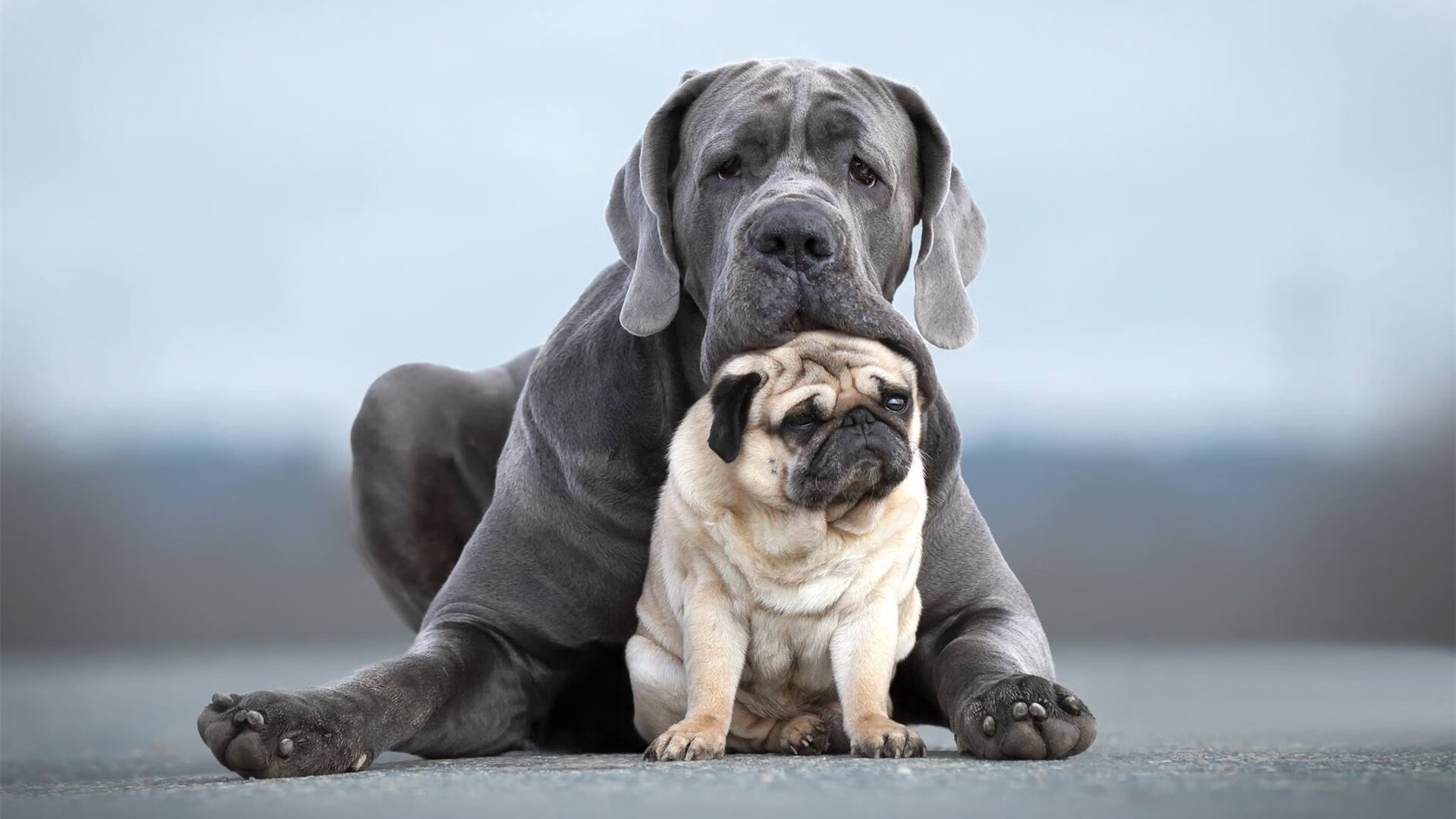 雷火电竞合作-篮网硬撼雷霆，文班亚马觉醒信号震彻NBA