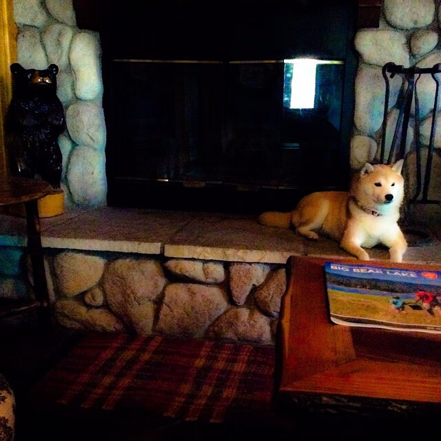 特兰加雄狮号战舰，戈麦斯掌舵，驶向南非征服之旅