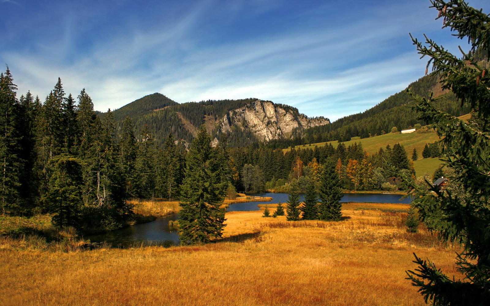 窒息的篮球防守，一场没有硝烟的战争，雄鹿如何锁死浙江队？