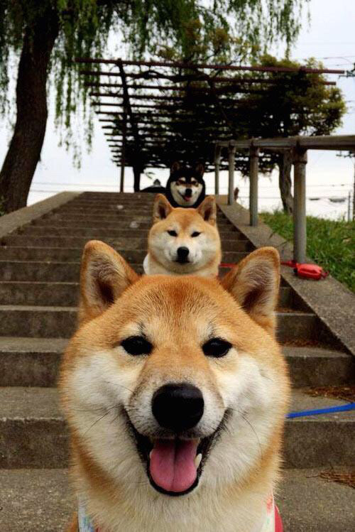 数据库之外的完美评分，当东契奇出现在掘金对阵热火的夜晚