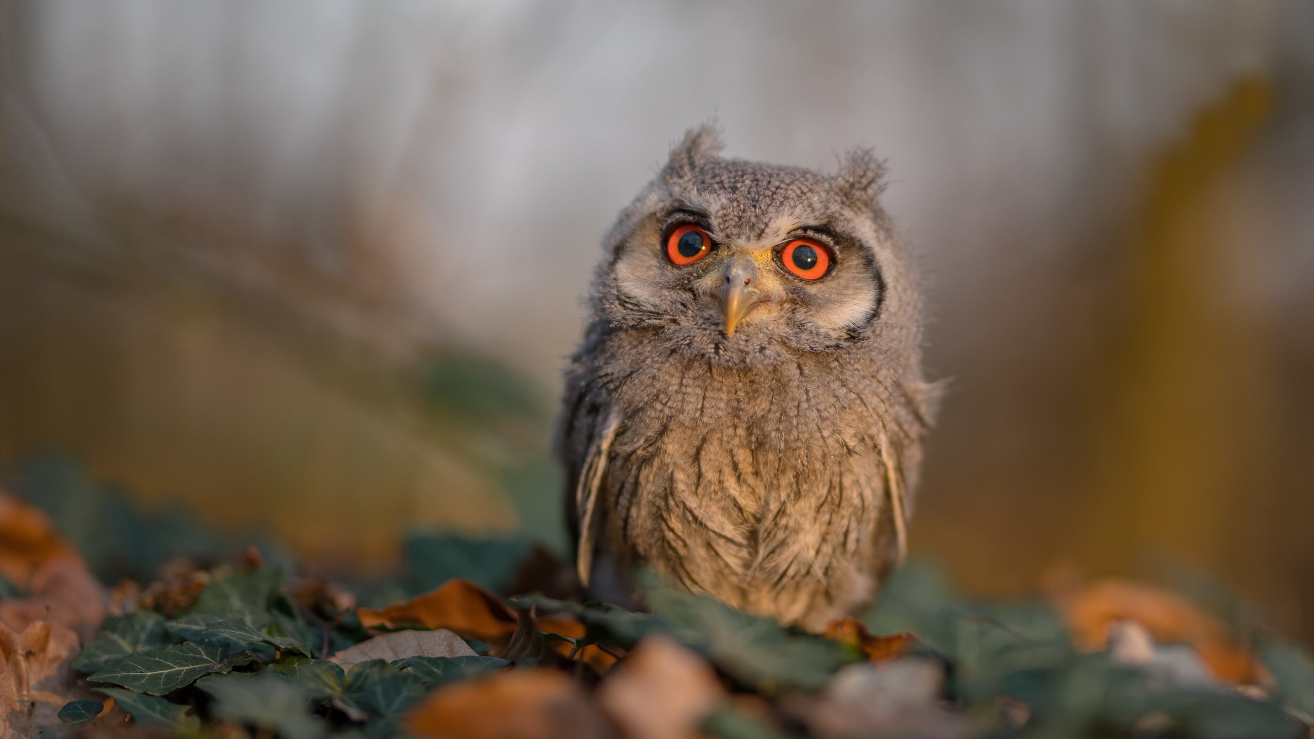 没有神灯只有汗水，克罗地亚用最硬的方式赢下最不能输的仗，苏亚雷斯用一脚踢碎心魔