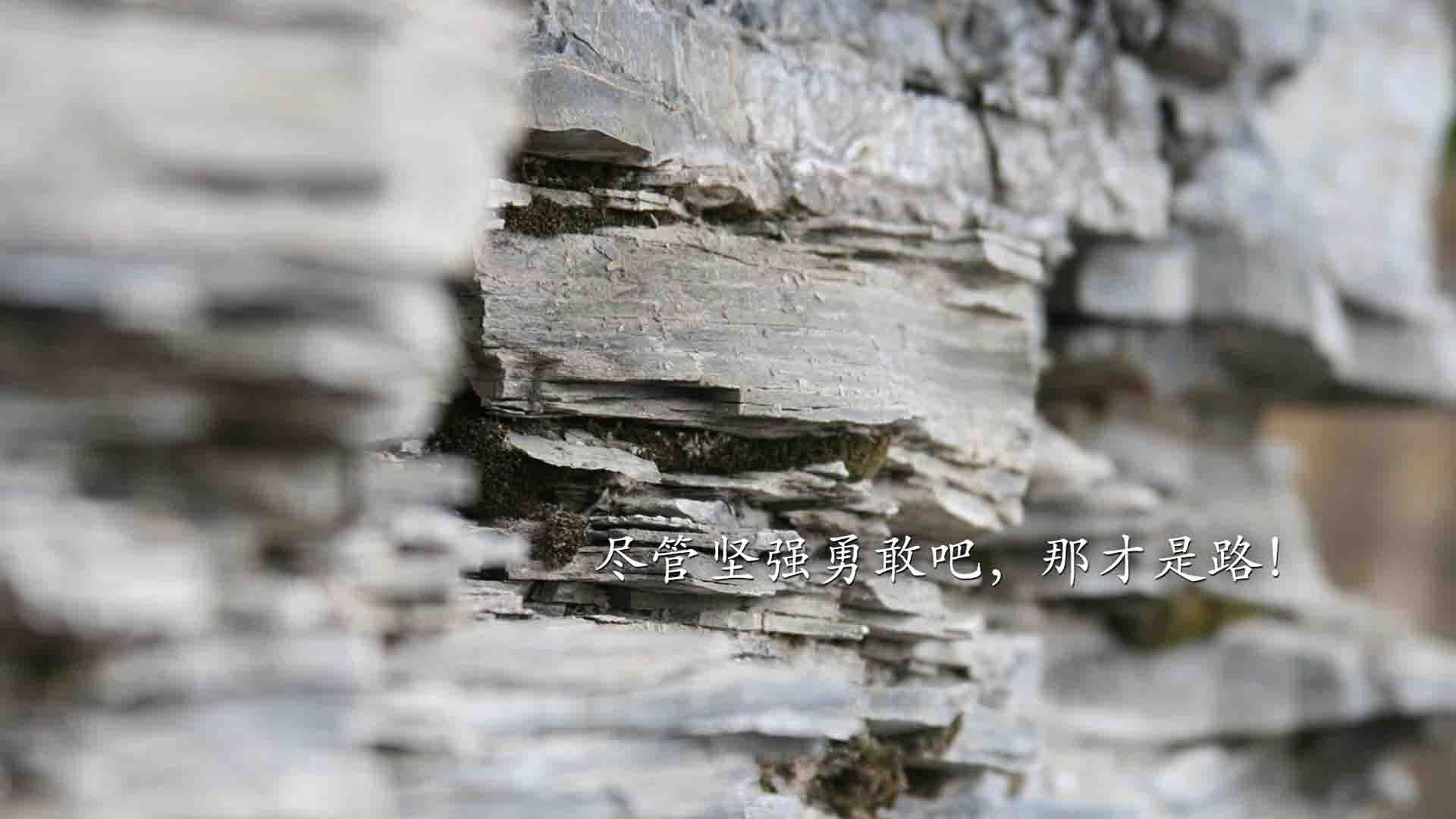 雷火电竞入驻-唯一之战，2026世界杯E组，瑞士精准战术击溃乌兹别克斯坦，哈兰德领袖气质主宰关键一役
